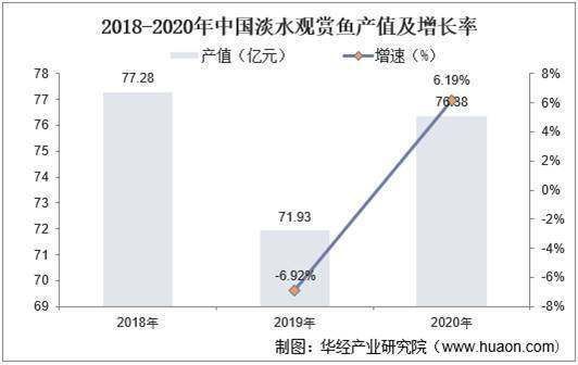 觀賞魚市場投資策略分析：養殖觀賞魚市場