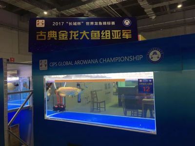 2023年長(zhǎng)城杯龍魚(yú)大賽時(shí)間地點(diǎn)：2023年長(zhǎng)城杯龍魚(yú)大賽