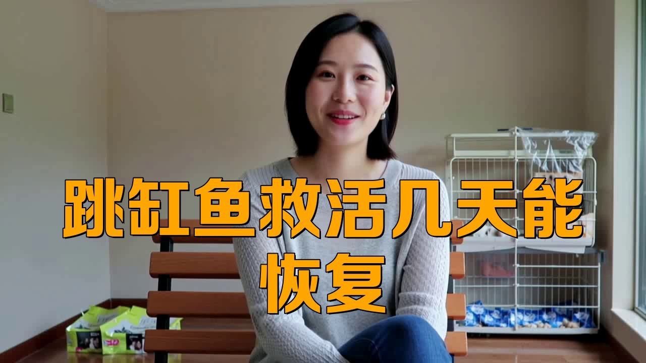 龍魚(yú)跳缸后多久會(huì)恢復(fù)？