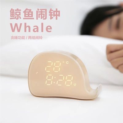 福龍魚一只多少錢一條啊：如何辨別福龍魚市場行情分析，高端福龍魚品種介紹