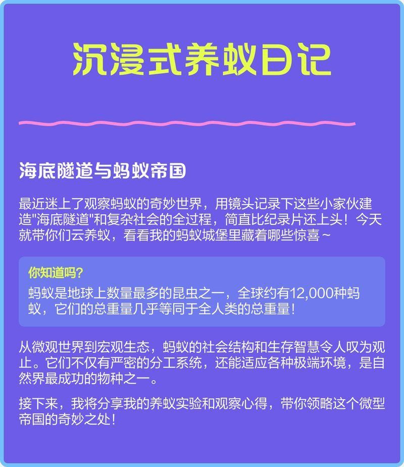 坤桑沉浸式養(yǎng)螞蟻大全