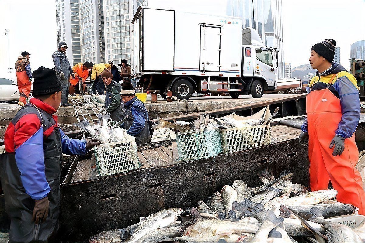 網(wǎng)上買魚苗哪個平臺最靠譜？