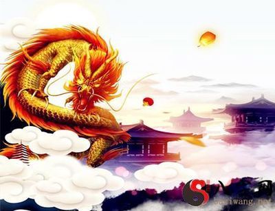 屬龍的養什么魚