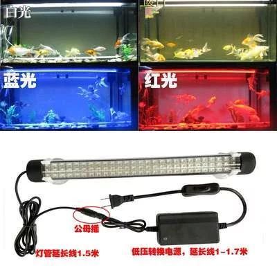 龍魚燈正確放置方法：正確的龍魚燈放置方法