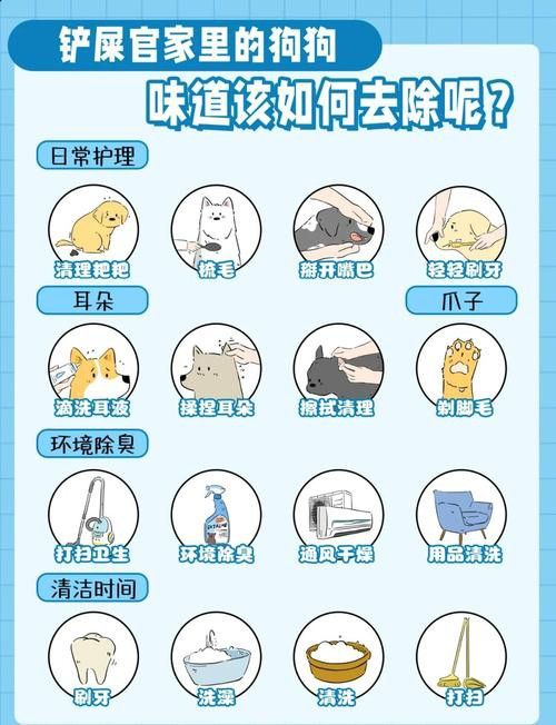 混養時如何避免沖突？