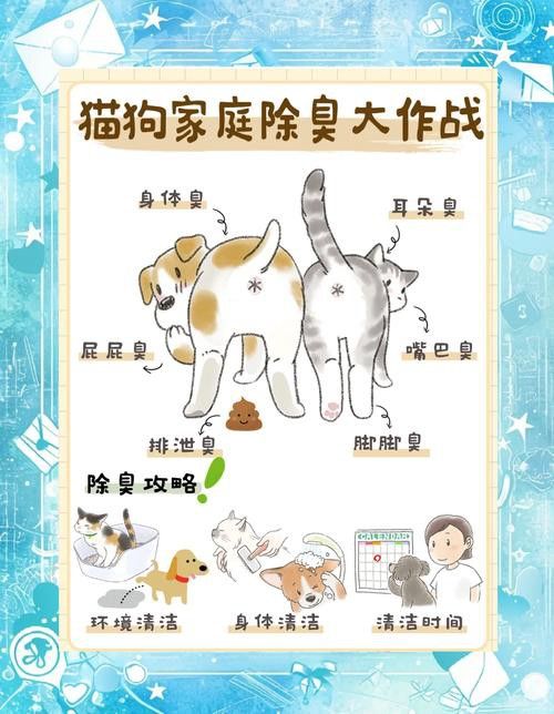 混養時如何避免沖突？