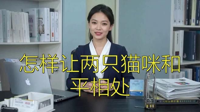 混養時如何避免沖突？