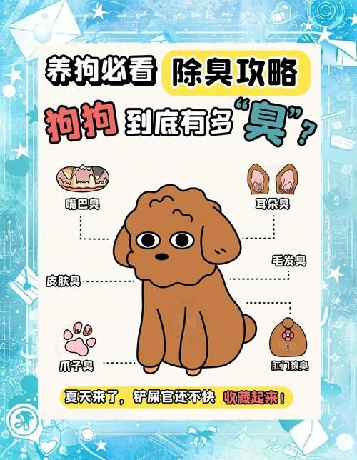 混養時如何避免沖突？