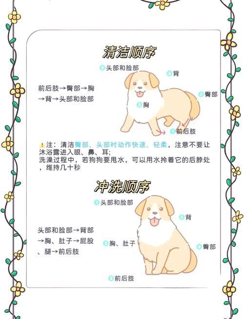 混養時如何避免沖突？