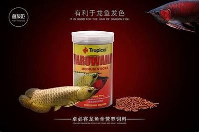 龍魚的實驗飼料配方和成分分析（紅龍魚飼料配方）