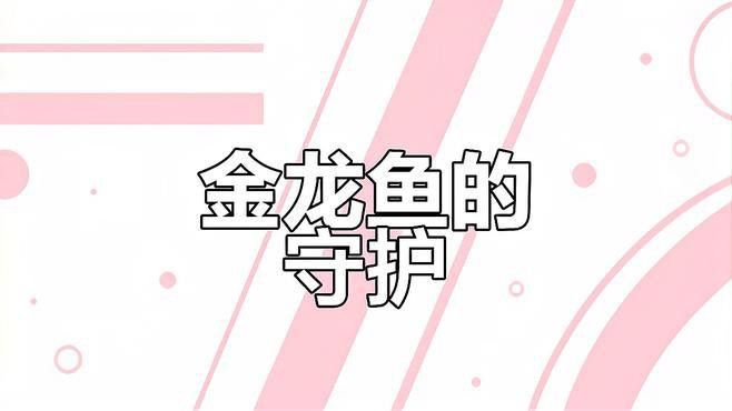 金龍魚如何孵化