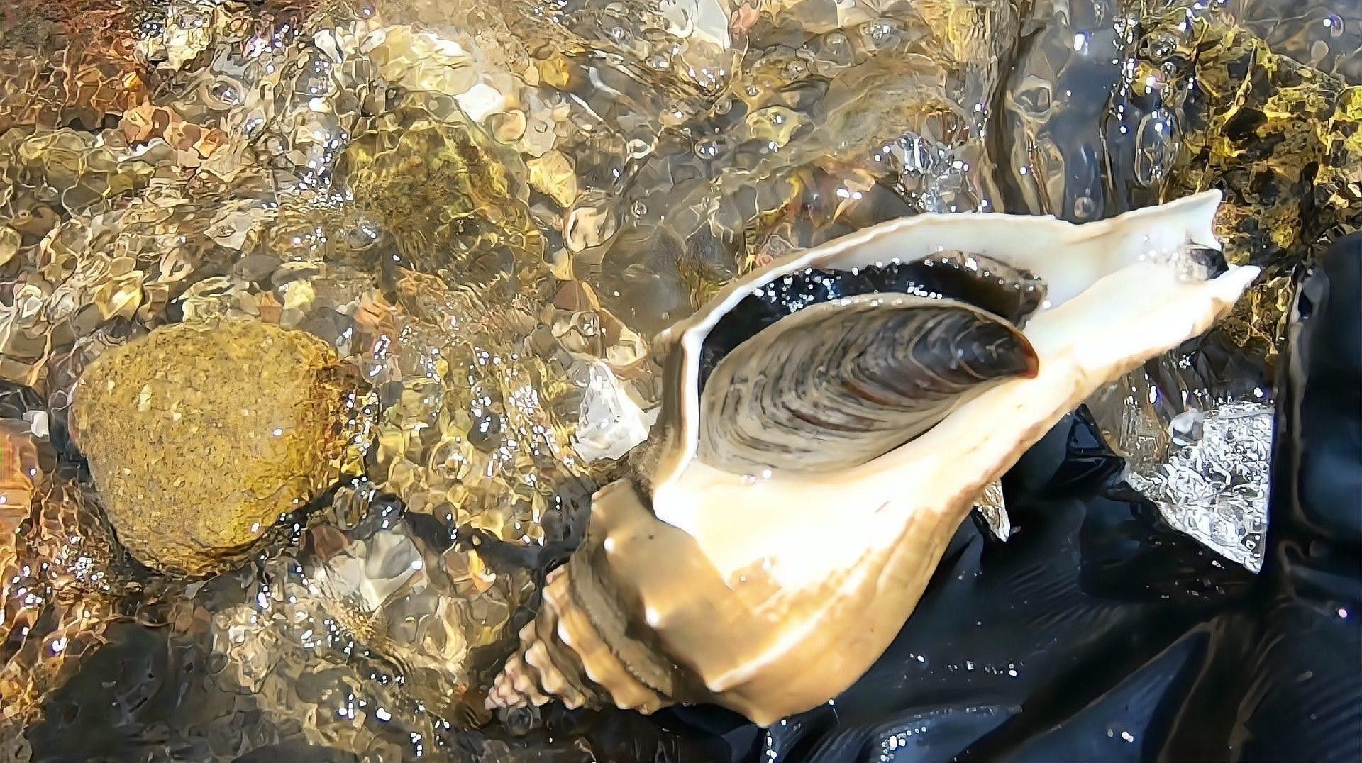 紅龍魚養殖場怎么樣