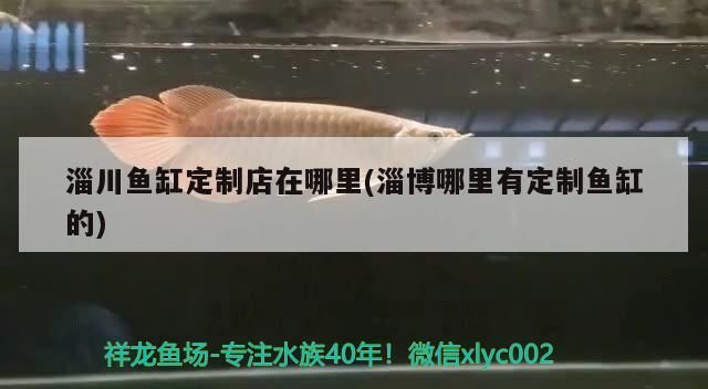 淄川魚缸定制店在哪里(淄博哪里有定制魚缸的)