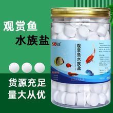 紅龍魚魚苗怎么看品質好不好：挑選紅龍魚魚苗時有幾個關鍵方面可以幫助您判斷其品質好壞