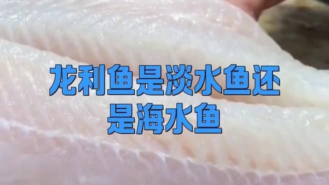 龍利魚是巴沙魚嗎