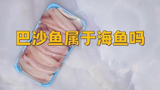 龍利魚是巴沙魚嗎