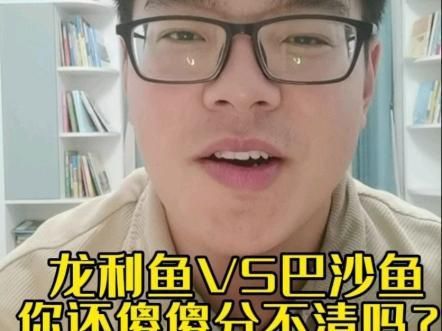 龍利魚是巴沙魚嗎