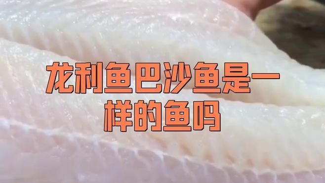 龍利魚是巴沙魚嗎