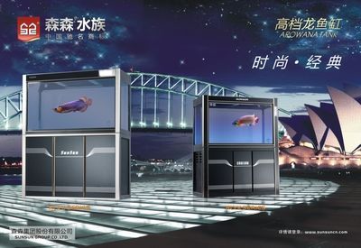 龍魚缸底濾濾材擺放順序：龍魚缸底濾材的擺放順序 龍魚缸底濾濾材擺放順序：龍魚缸底濾材的擺放順序 龍魚百科 第3張