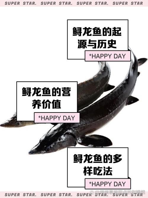 合肥龍魚交流群微信二維碼在哪里