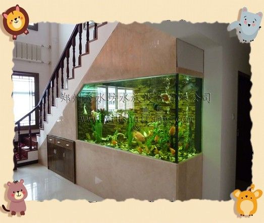 金龍魚缸圖片大全大圖視頻