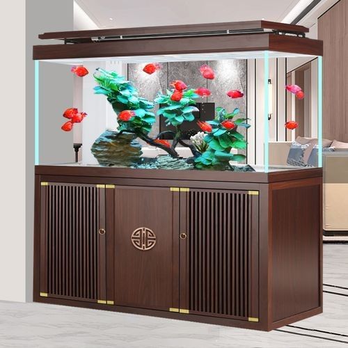 金龍魚缸圖片大全大圖視頻