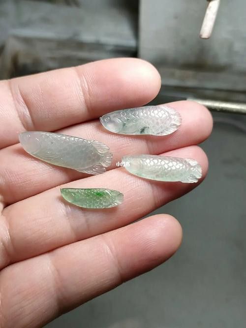 翡翠金龍魚圖片