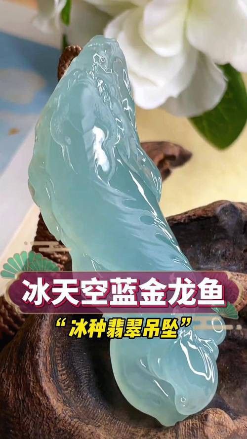 翡翠金龍魚圖片