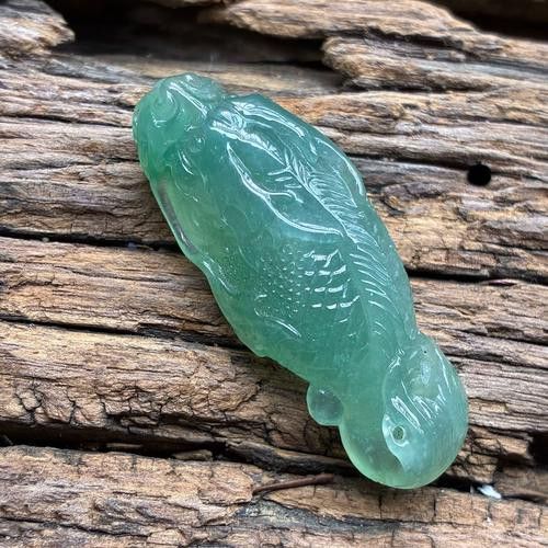 翡翠金龍魚圖片