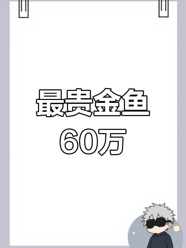 名貴金魚品種