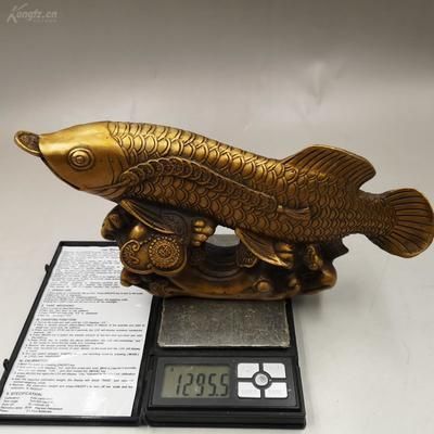 家中金龍魚擺件怎么擺（在家中擺放金龍魚擺件時(shí)需要注意以下幾個(gè)方面以確保其能夠發(fā)揮最佳風(fēng)水效果）