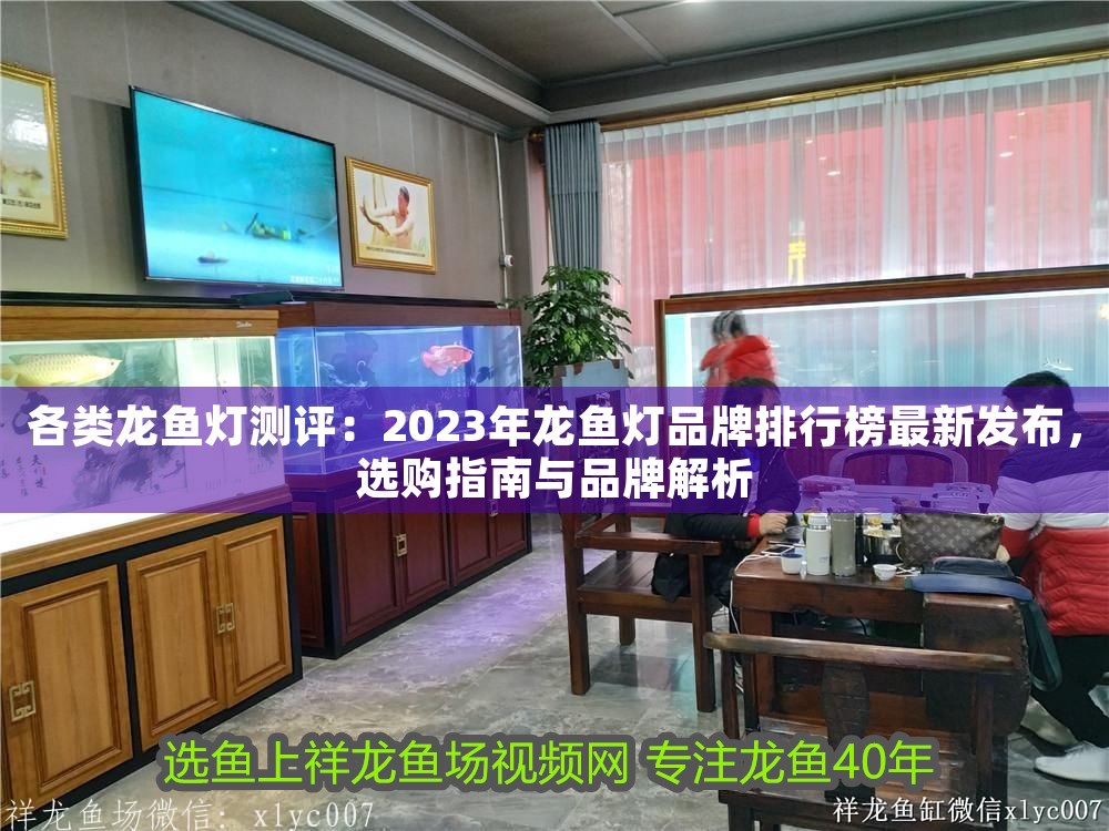 各類龍魚燈測評：2023年龍魚燈品牌排行榜最新發布，選購指南與品牌解析