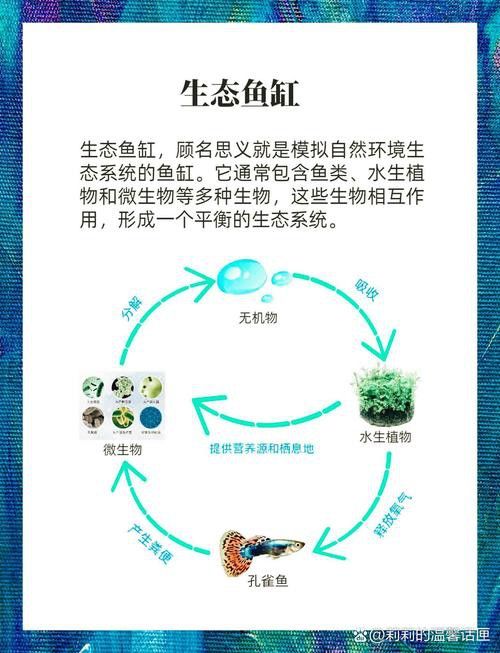 過背金龍魚缸植物需要施肥嗎？
