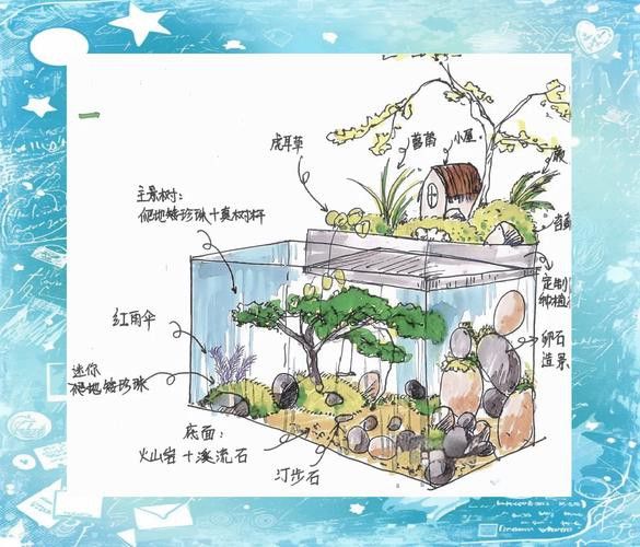 過背金龍魚缸植物需要施肥嗎？