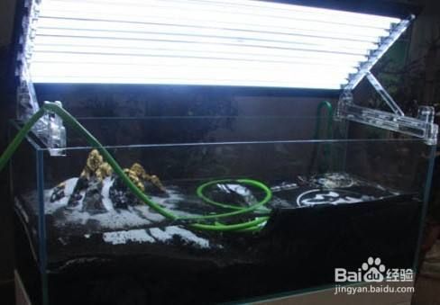 烏魯木齊水族批發市場（烏魯木齊水族批發市場信息）