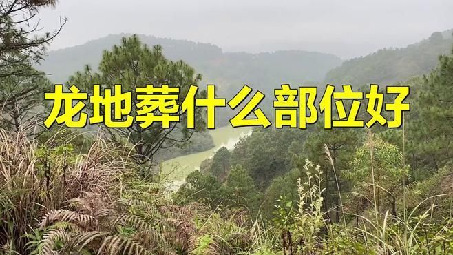 龍形地適合葬在哪里？