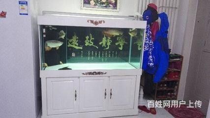 龍魚會跳缸嗎？：探討龍魚是否具有跳缸行為時需要明確“跳缸”的定義
