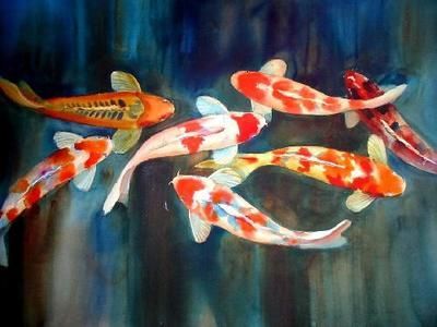 買龍魚去哪里買比較好（如何選擇龍魚？）