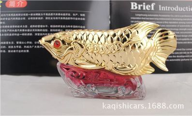 買龍魚去哪里買比較好（如何選擇龍魚？）