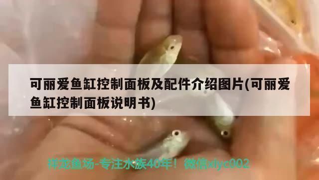 可麗愛魚缸顯示屏怎么調(diào)顏色（可麗愛魚缸顯示屏故障排查如何校準可麗愛魚缸定時器設(shè)置教程）