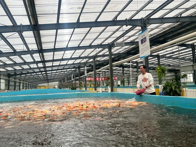 吉林金龍魚糧庫