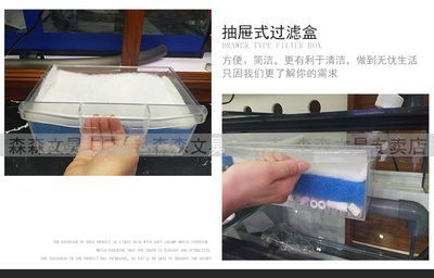 龍魚用什么過濾好：養龍魚過濾系統維護的常見誤區
