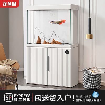 龍魚用什么過濾好：養龍魚過濾系統維護的常見誤區