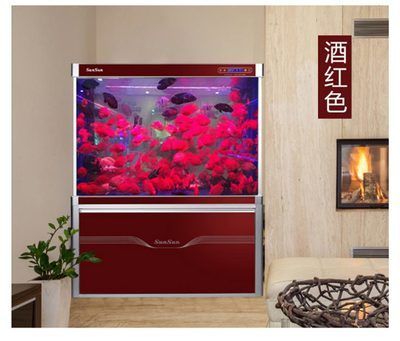龍魚用什么過濾好：養龍魚過濾系統維護的常見誤區