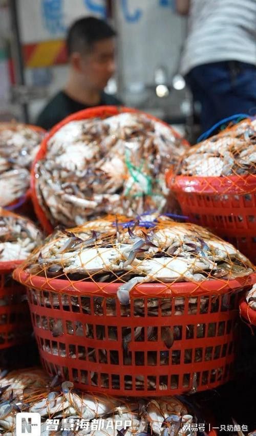 寧德龍魚專賣店