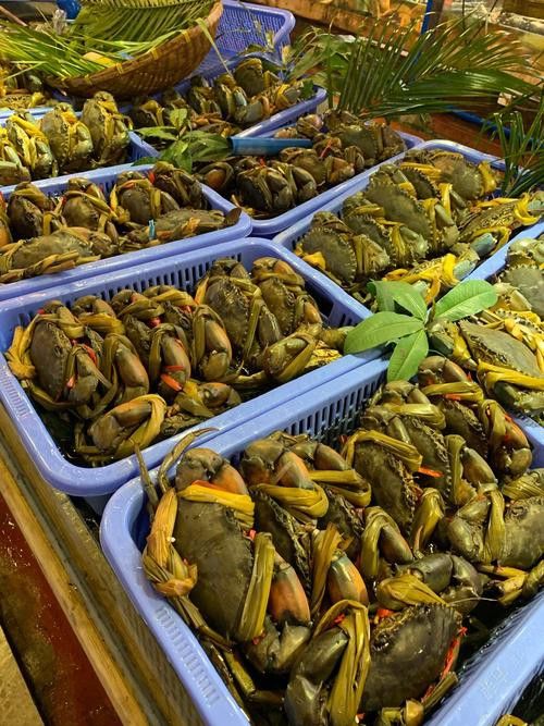 寧德龍魚專賣店