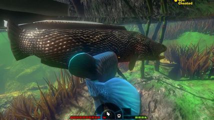 黑魚與金龍魚誰厲害:探討黑魚與金龍魚誰更厲害,黑魚與金龍魚誰更厲害 龍魚百科 第2張 黑魚與金龍魚誰厲害:探討黑魚與金龍魚誰更厲害,黑魚與金龍魚誰更厲害 黑魚與金龍魚誰厲害:探討黑魚與金龍魚誰更厲害,黑魚與金龍魚誰更厲害 龍魚百科 第2張