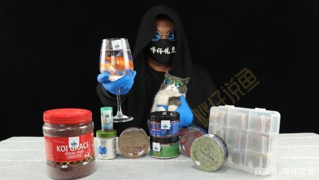 如何判斷魚糧的易消化性？：判斷魚糧的易消化性是飼養(yǎng)過程中的重要環(huán)節(jié)是飼養(yǎng)過程中的重要環(huán)節(jié)