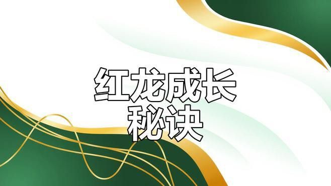 紅龍養(yǎng)殖LED燈需要多大功率？
