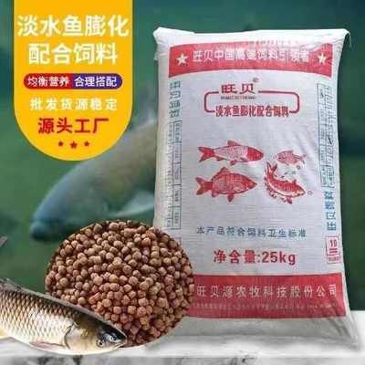 如何科學調整龍鳳鯉魚飼料：不同季節龍鳳鯉魚飼料調整方法